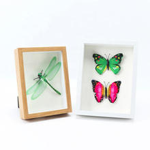 4x6inch Wholesale plant butterfly specimen decoration frame dried flower frame door to door